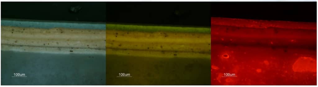 Fluorescent microscopy 